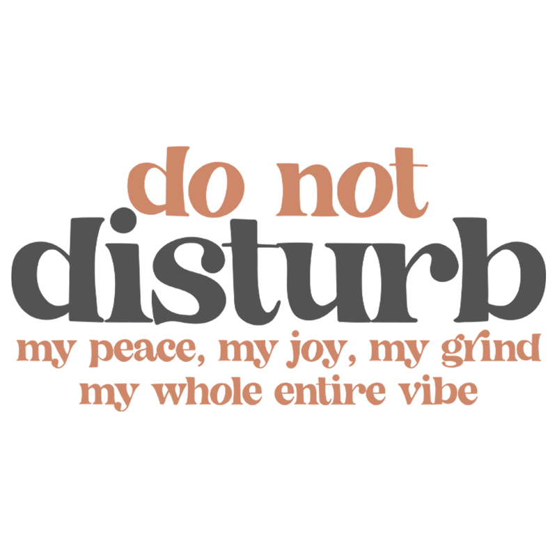 Do Not Disturb My Peace My Joy My Grind My Whole Entire Vibe Adult T-Shirt