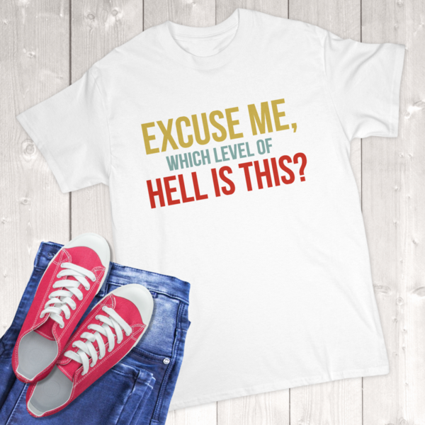 Excuse Me Which Level Of Hell Is This Adult T-Shirt