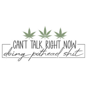 Can't Talk Right Now Doing Pothead Shit Adult T-Shirt