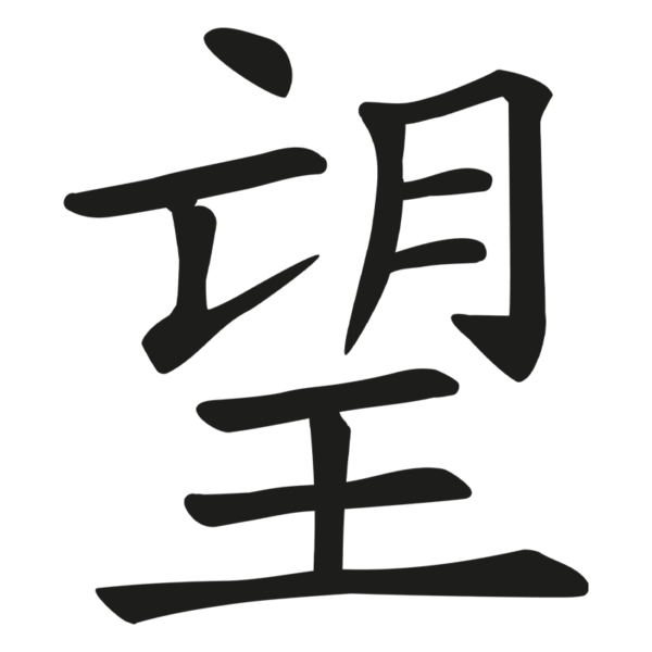 Kanji Symbol Hope Window Decal
