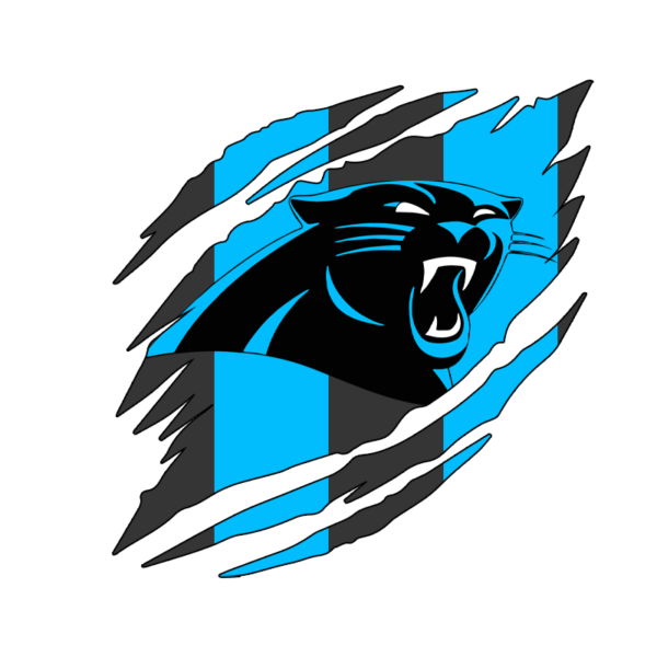 NFL NFC South Carolina Panthers Mouse Pad